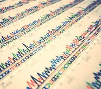 Data sheet of DNA sequence